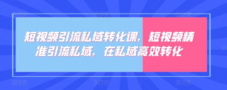 短视频引流私域转化课，短视频精准引流私域，在私域高效转化-蚂蚁汇资源分享项目网