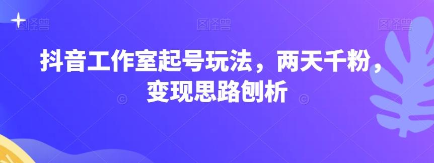 抖音工作室起号玩法，两天千粉，变现思路刨析-蚂蚁汇资源分享项目网