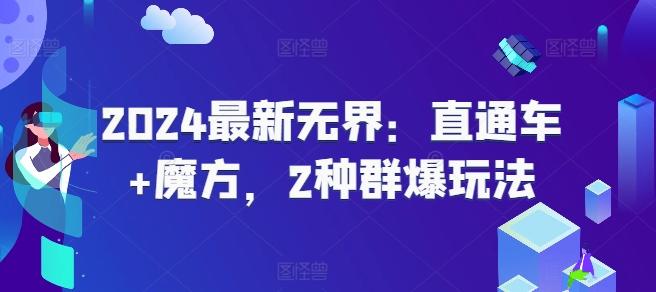 2024最新无界：直通车+魔方，2种群爆玩法-蚂蚁汇资源分享项目网