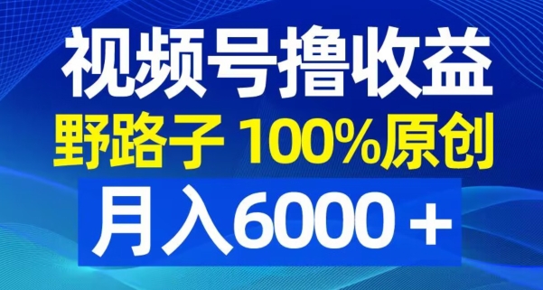 视频号野路子撸收益，100%原创，条条爆款，月入6000＋【揭秘】-蚂蚁汇资源分享项目网