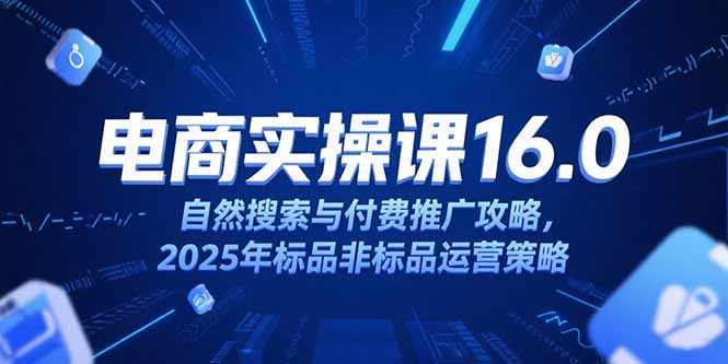 淘宝电商运营课16.0，自然搜索与付费推广攻略，2025年标品非标品运营策略-蚂蚁汇资源分享项目网