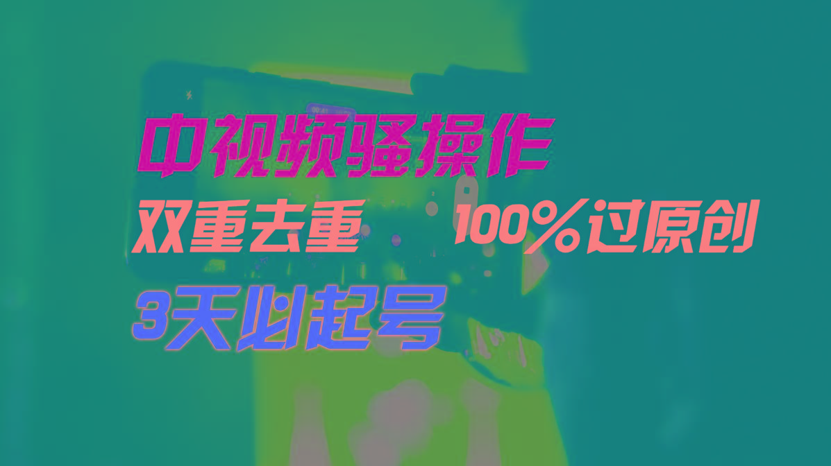 中视频骚操作，双重去重100%过原创，3天比必起号，简单无脑，月入3W+-蚂蚁汇资源分享项目网