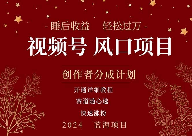 拥有睡眠收益的微信视频号大风口项目，轻松月入过万+，多赛道选择，可…-蚂蚁汇资源分享项目网