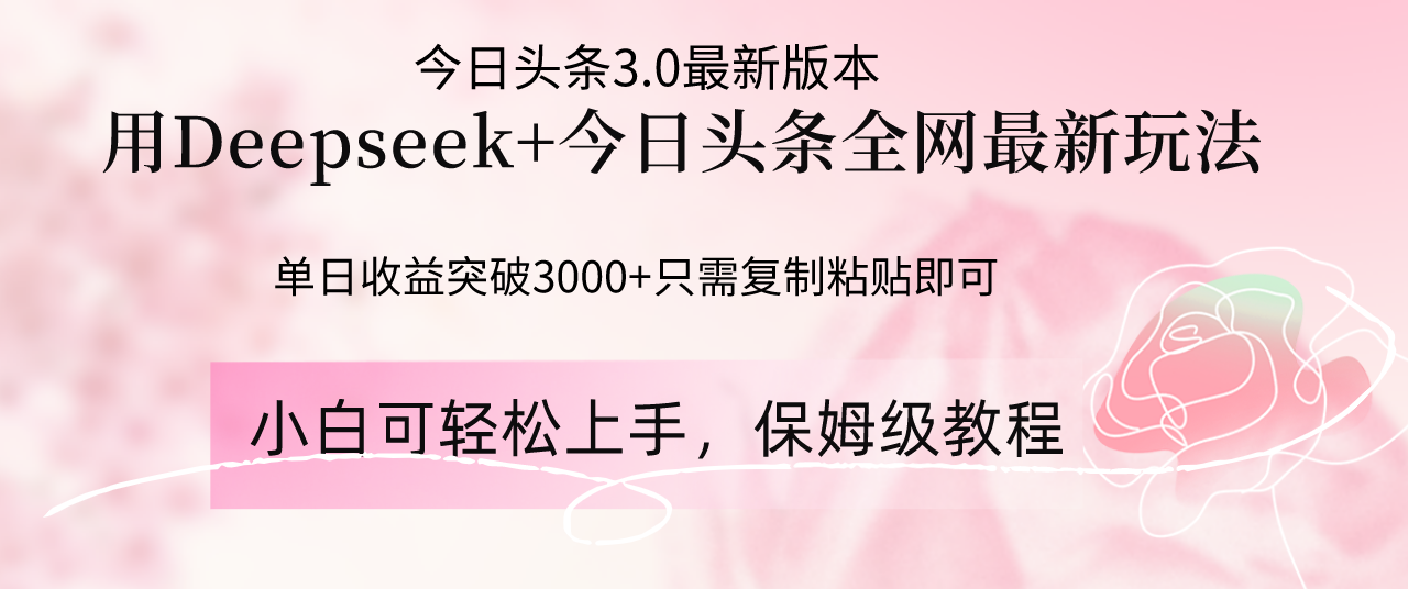 Deepseek结合今日头条全网最新玩法，单日收益突破3000+，只需要简单的...-蚂蚁汇资源分享项目网