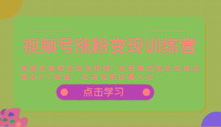 视频号涨粉变现训练营-实现微信生态私域运营的3个维度，达到变现的最大化-蚂蚁汇资源分享项目网