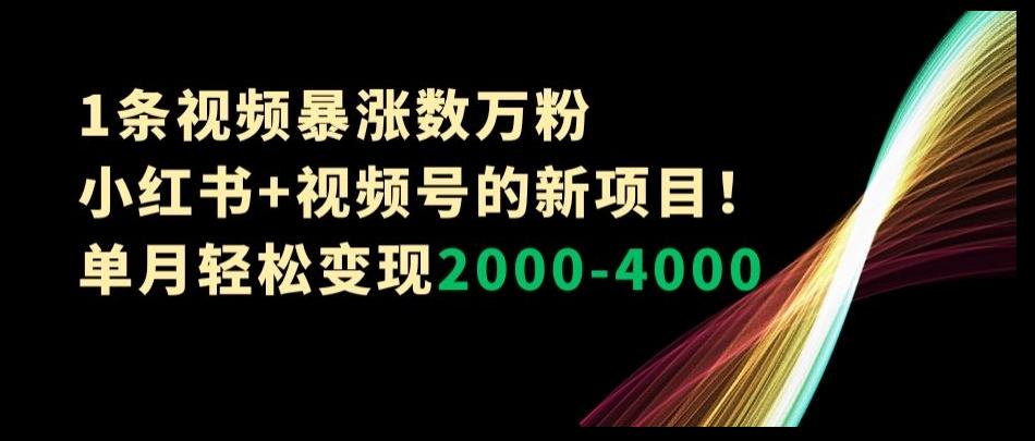1条视频暴涨数万粉–小红书+视频号的新项目！单月轻松变现2000-4000【揭秘】-蚂蚁汇资源分享项目网