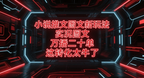 小说推文图文新玩法，实况图文，万播二十单，这转化太牛了！-蚂蚁汇资源分享项目网