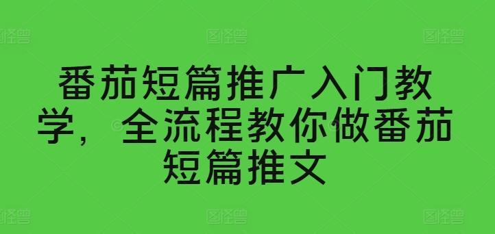 番茄短篇推广入门教学，全流程教你做番茄短篇推文-蚂蚁汇资源分享项目网