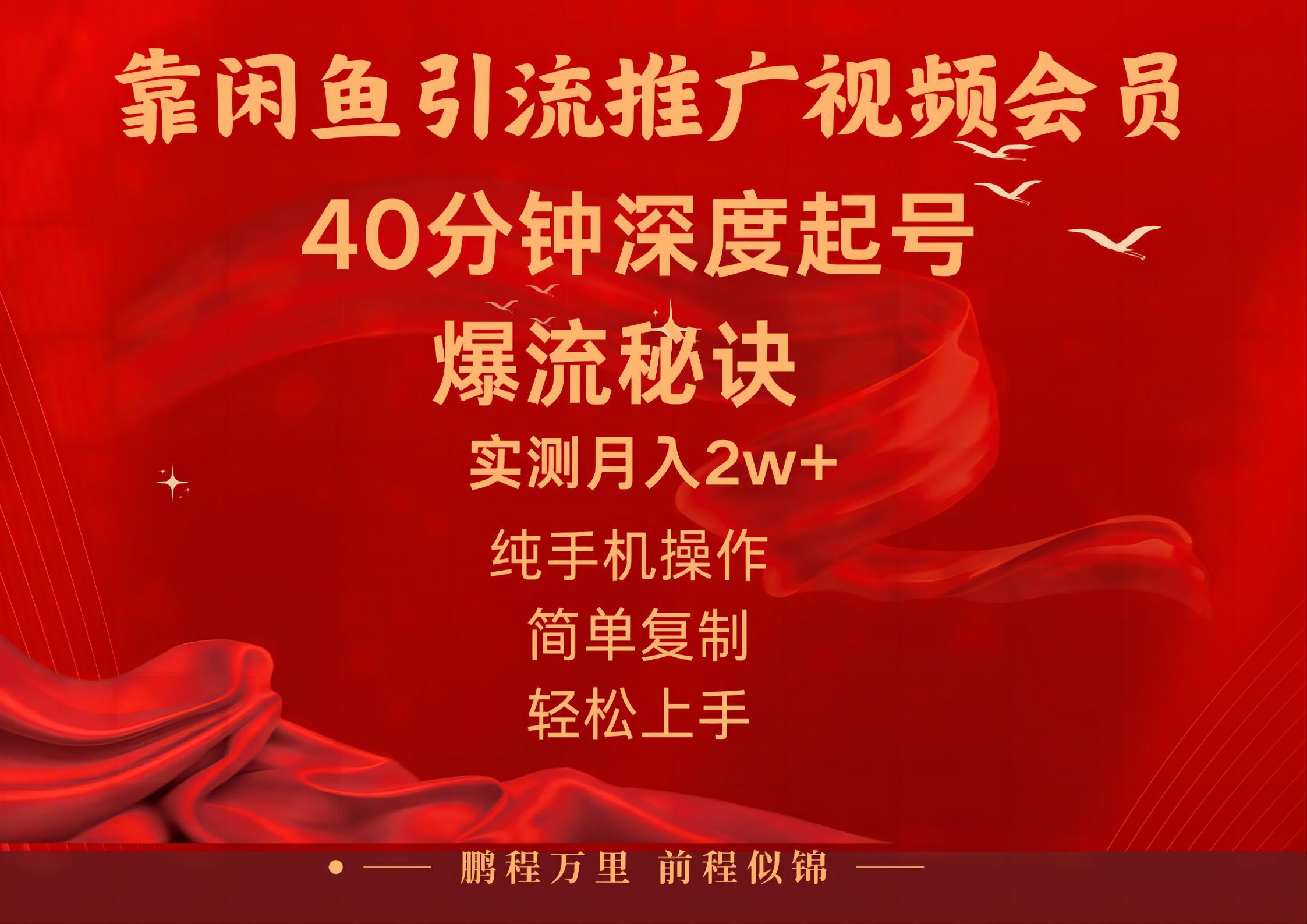 闲鱼暴力引流推广视频会员，能做到日入2W+，操作简单-蚂蚁汇资源分享项目网