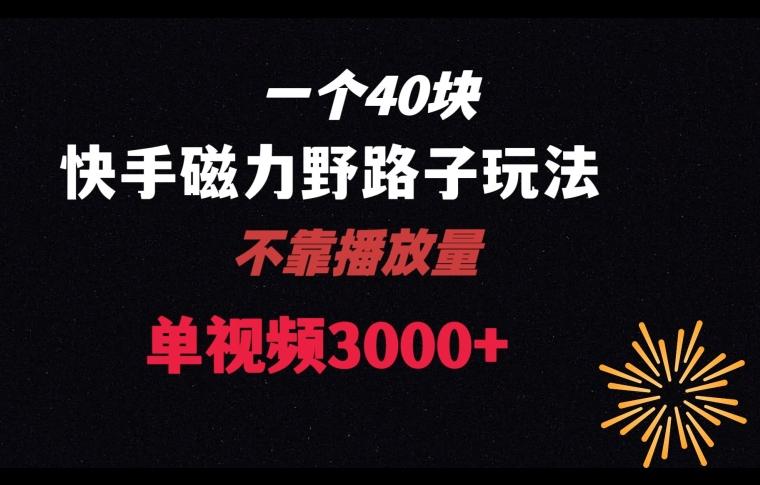 一个40块，快手联合美团磁力新玩法，无视机制野路子玩法，单视频收益4位数【揭秘】-蚂蚁汇资源分享项目网