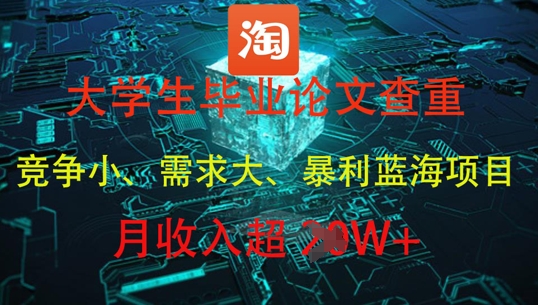 大学生毕业论文查重，暴利蓝海项目，月收入过1W+-蚂蚁汇资源分享项目网