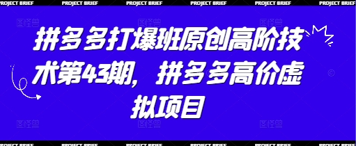 拼多多打爆班原创高阶技术第43期，拼多多高价虚拟项目-蚂蚁汇资源分享项目网