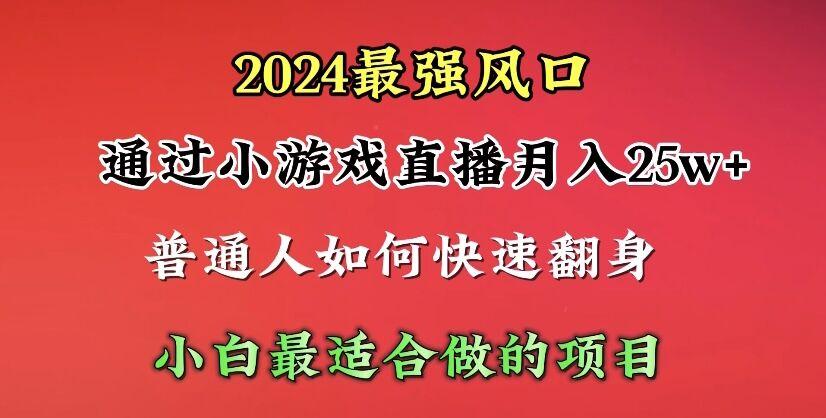 (10020期)2024年最强风口，通过小游戏直播月入25w+单日收益5000+小白最适合做的项目-蚂蚁汇资源分享项目网