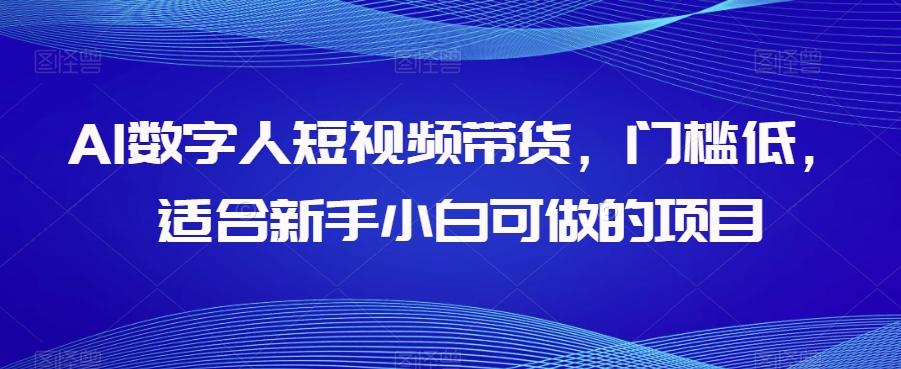 AI数字人短视频带货，门槛低，适合新手小白可做的项目-蚂蚁汇资源分享项目网