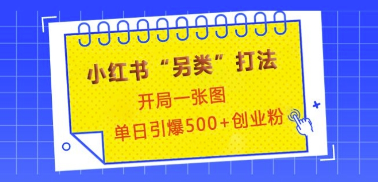 小红书“另类”打法，开局一张图，单日引爆500+精准创业粉【揭秘】-蚂蚁汇资源分享项目网