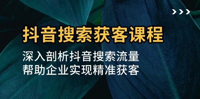 抖音搜索获客课程：深入剖析抖音搜索流量，帮助企业实现精准获客-蚂蚁汇资源分享项目网
