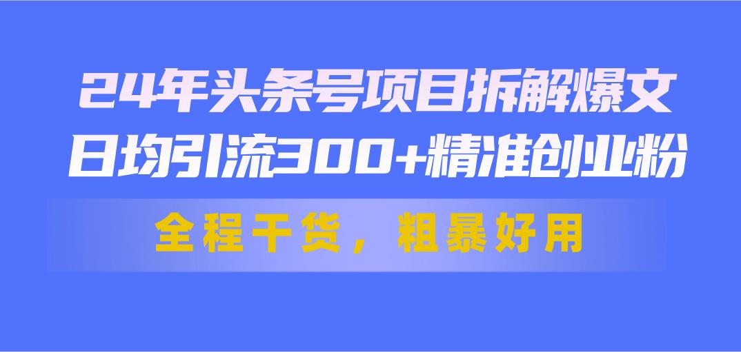 24年头条号项目拆解爆文，日均引流300+精准创业粉，全程干货，粗暴好用-蚂蚁汇资源分享项目网