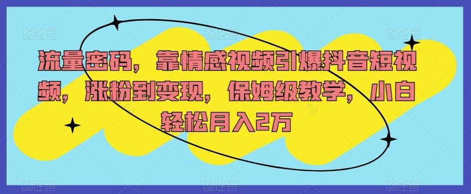 流量密码，靠情感视频引爆抖音短视频，涨粉到变现，保姆级教学，小白轻松月入2万【揭秘】-蚂蚁汇资源分享项目网