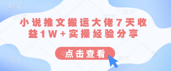 小说推文搬运大佬7天收益1W+实操经验分享-蚂蚁汇资源分享项目网