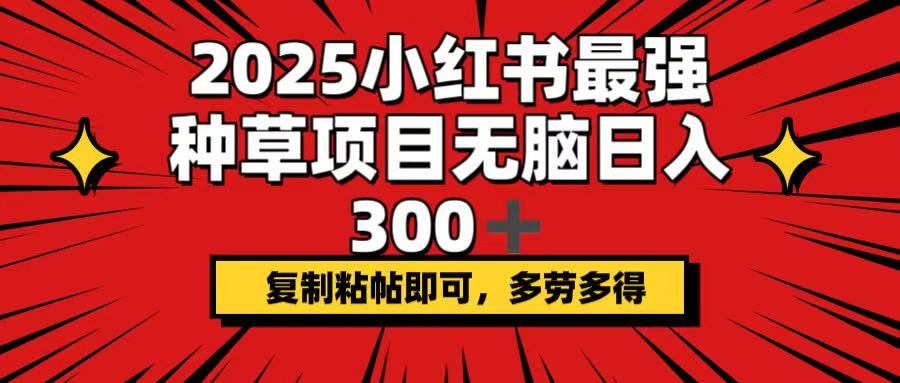 2025小红书最强种草项目，无脑日入300+，复制粘帖即可，多劳多得-蚂蚁汇资源分享项目网