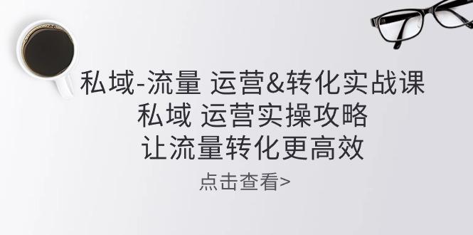 私域-流量 运营&转化实操课：私域 运营实操攻略 让流量转化更高效-蚂蚁汇资源分享项目网
