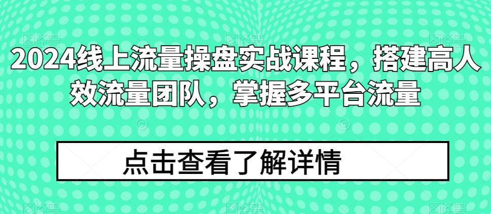 2024线上流量操盘实战课程，搭建高人效流量团队，掌握多平台流量-蚂蚁汇资源分享项目网
