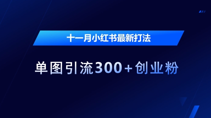 十一月小红书最新打法，单图引流300+创业粉【揭秘】-蚂蚁汇资源分享项目网