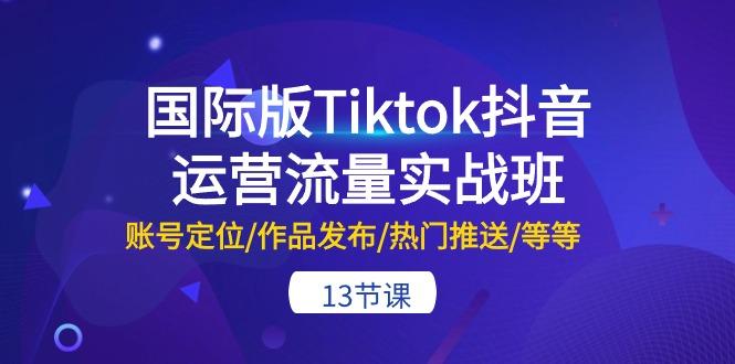 国际版Tiktok抖音运营流量实战班：账号定位/作品发布/热门推送/等等-13节-蚂蚁汇资源分享项目网