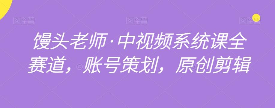 馒头老师·中视频系统课全赛道，账号策划，原创剪辑-蚂蚁汇资源分享项目网