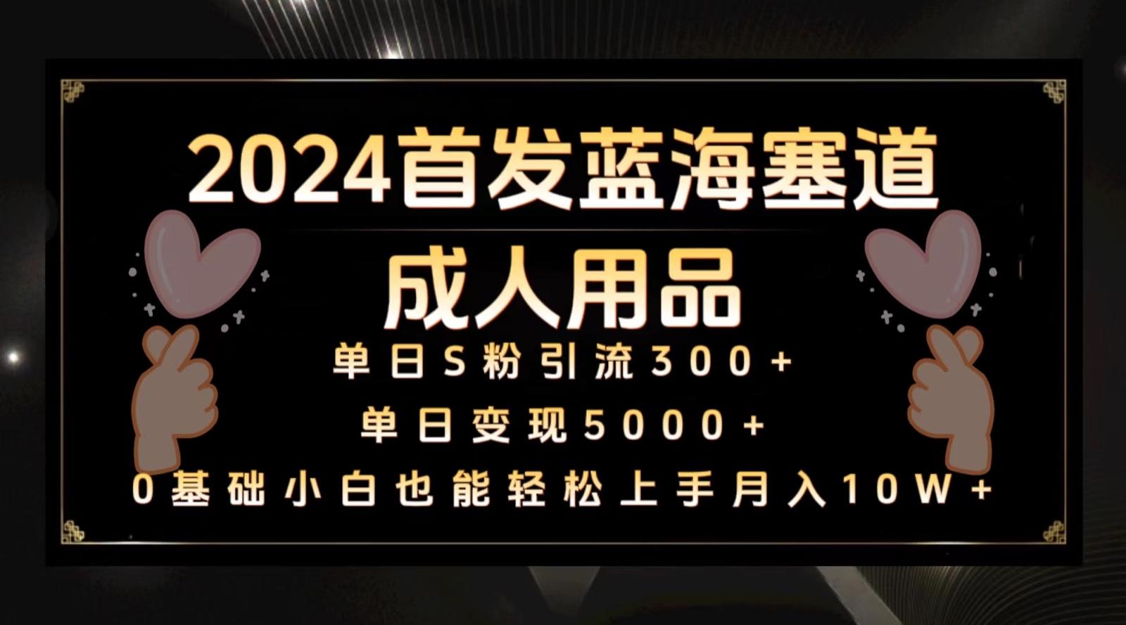 2024首发蓝海塞道成人用品,月入10W+保姆教程-蚂蚁汇资源分享项目网