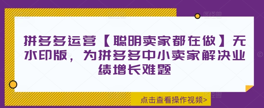 拼多多运营【聪明卖家都在做】无水印版，为拼多多中小卖家解决业绩增长难题-蚂蚁汇资源分享项目网