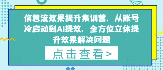 信息流效果提升集训营，从账号冷启动到AI提效，全方位立体提升效果解决问题-蚂蚁汇资源分享项目网