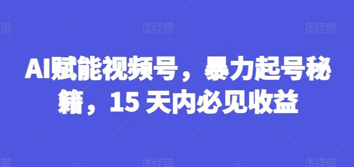 AI赋能视频号，暴力起号秘籍，15 天内必见收益【揭秘】-蚂蚁汇资源分享项目网