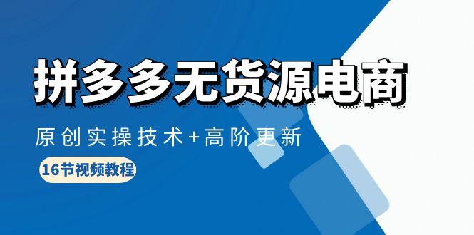 (10015期)拼多多无货源电商，原创实操技术+高阶更新(16节视频教程)-蚂蚁汇资源分享项目网