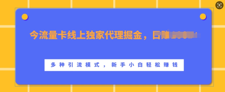 流量卡线上独家代理掘金，日入1k+ ，多种引流模式，新手小白轻松上手【揭秘】-蚂蚁汇资源分享项目网