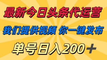 最新今日头条代运营，我们提供视频，你一键发布，单号日入200+【揭秘】-蚂蚁汇资源分享项目网