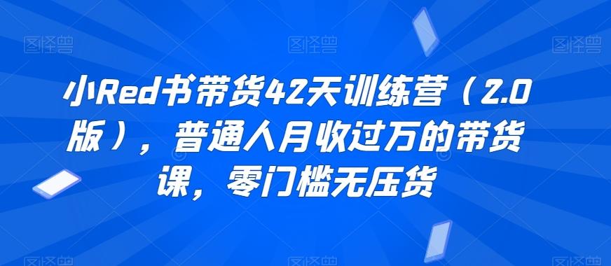 小Red书带货42天训练营(2.0版)，普通人月收过万的带货课，零门槛无压货-蚂蚁汇资源分享项目网