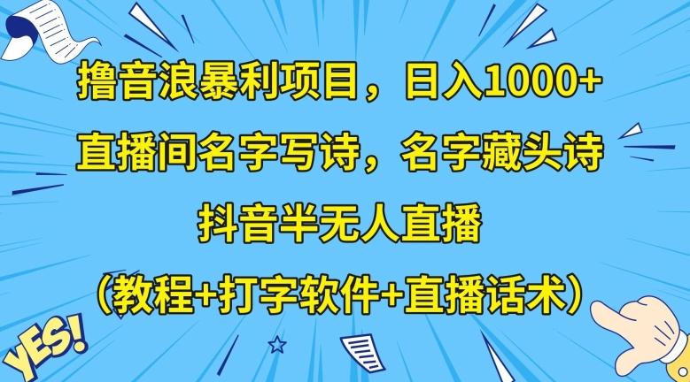 撸音浪暴利项目，日入1000+，直播间名字写诗，名字藏头诗，抖音半无人直播（教程+打字软件+直播话术）【揭秘】-蚂蚁汇资源分享项目网