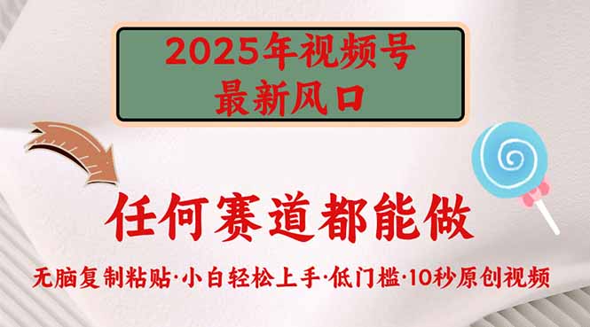 2025年视频号新风口，低门槛只需要无脑执行-蚂蚁汇资源分享项目网