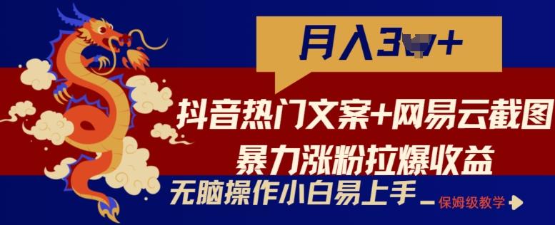 抖音热门文案+网易云截图暴力涨粉拉爆收益玩法，小白无脑操作，简单易上手【揭秘】-蚂蚁汇资源分享项目网