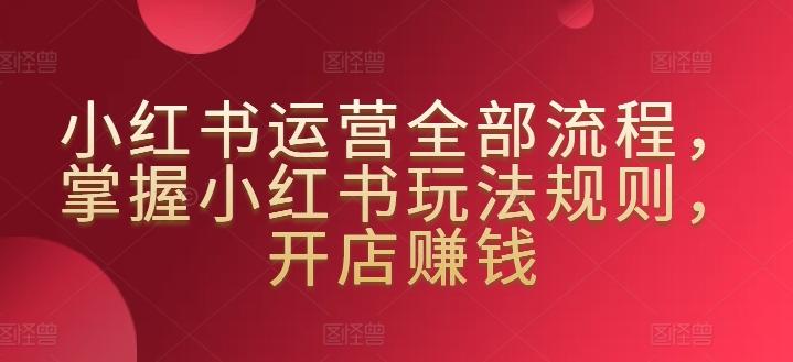 小红书运营全部流程，掌握小红书玩法规则，开店赚钱-蚂蚁汇资源分享项目网