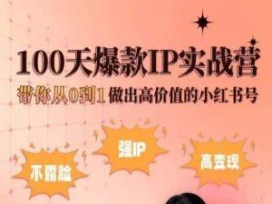 小红书100天爆款IP实战营，带你从0到1做出高价值的小红书号-蚂蚁汇资源分享项目网