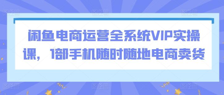 闲鱼电商运营全系统VIP实操课，1部手机随时随地电商卖货-蚂蚁汇资源分享项目网