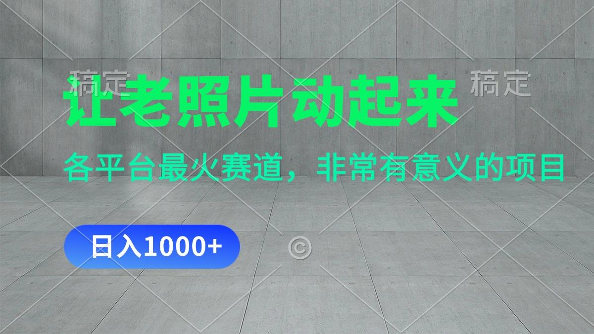 让老照片动起来，一天变现1000+，各平台最火赛道，看完就会-蚂蚁汇资源分享项目网