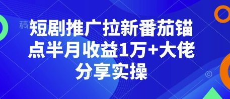短剧推广拉新番茄锚点半月收益1万+大佬分享实操-蚂蚁汇资源分享项目网