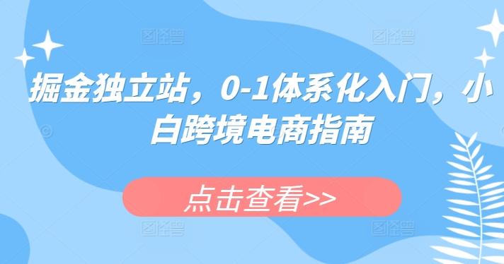 掘金独立站，0-1体系化入门，小白跨境电商指南-蚂蚁汇资源分享项目网