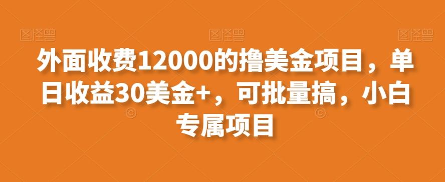 外面收费12000的撸美金项目，单日收益30美金+，可批量搞，小白专属项目-蚂蚁汇资源分享项目网