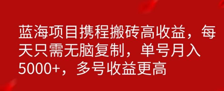 携程搬砖项目，只需每天无脑复制，月入5000+-蚂蚁汇资源分享项目网
