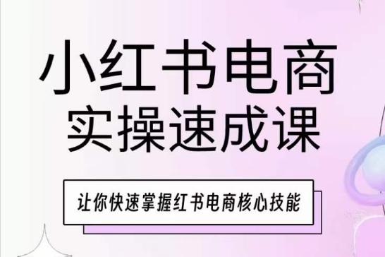 小红书电商实操速成课，让你快速掌握红书电商核心技能-蚂蚁汇资源分享项目网