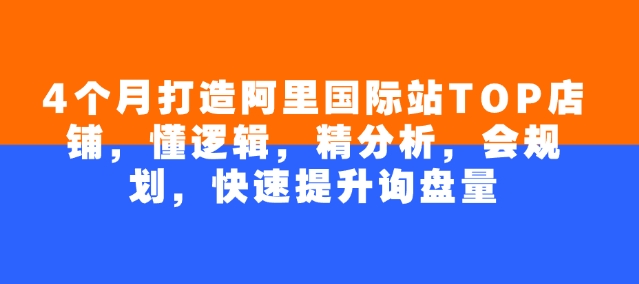 4个月打造阿里国际站TOP店铺，懂逻辑，精分析，会规划，快速提升询盘量-蚂蚁汇资源分享项目网